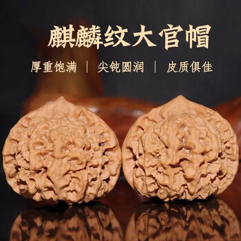 文玩核桃满天星精品价格报价行情- 京东