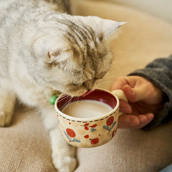 肆月猫咪杯子套装马克杯咖啡杯礼盒乔迁新婚订婚结婚礼物伴手礼端午节