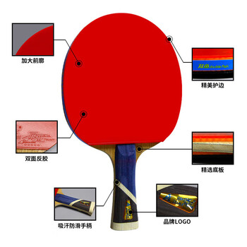 双鱼 五星乒乓球拍直拍全能型专业套胶双面反胶成人 5A+直拍 单拍