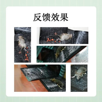 绿叶粘鼠板10片 粘鼠板老鼠贴胶驱捕鼠胶板室内 GL02113
