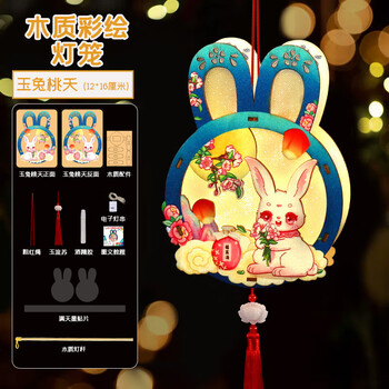 璟若繁星 木质彩印灯笼中国风新年手工diy手提小花灯 10个起发