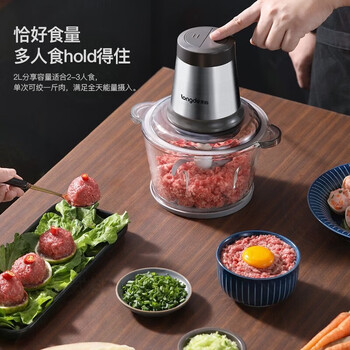 龙的（longde）绞肉机家用绞馅机绞肉绞菜酱料辅食双档电动多功能料理搅拌打肉饺子肉馅蒜蓉机 LD-KM206