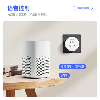 gosund电小酷智能插座 语音控制 接入米家 10A插座联动家电 智能插头 定时开关加湿器/电脑/蚊香液 CP1