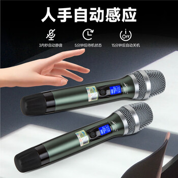 北极声无线一拖二娱乐KTV麦克风MS-X4