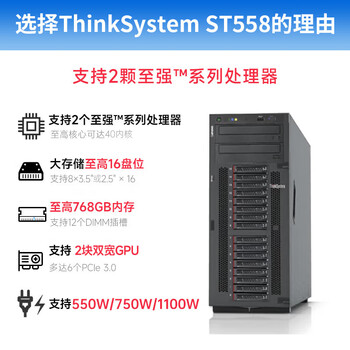 联想ThinkSystem ST558塔式服务器 运算虚拟化主机(4210*2 128G 2T SSD+4T SATA*3 RTX4090D-24G)定制
