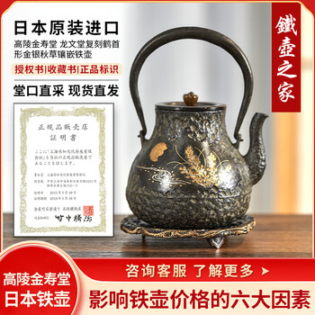 龟文堂铁壶- 京东