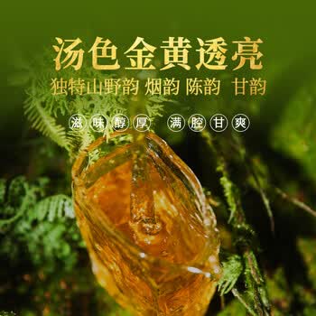 下关沱茶茶叶普洱茶生茶十八年陈料 2024年秘境荒野古树小铁饼160g