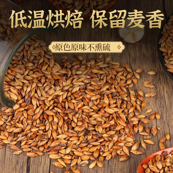沁晚香大麦茶原味烘焙精选大颗粒泡水喝养生花茶茶包独立小包装人工炒制