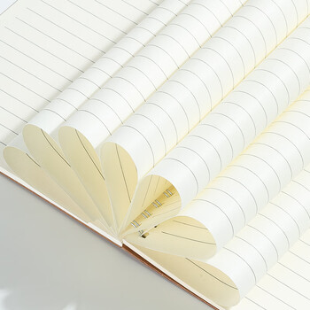 申士（SHEN SHI）【2本起拍】A5牛皮纸金属线圈本笔记本子学生文具单词本草稿本便签本记事本60张/本 21025-2