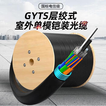 陆战鹰 GYTA53-24B1.3单模光缆24芯重铠地埋层绞式光纤线架空/管道 1米