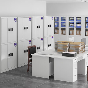 奈高（NAIGAO）保密柜国密级文件柜办公铁皮柜国家保密认证资料档案柜防盗密码柜