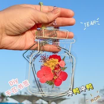 天色干花书签压花材料包创意手工制作毕业纪念礼物小学生男女孩植物标本缤纷花语系列粉色19朵TS-6134