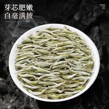 七春特级白毫银针福鼎白茶 商务茶叶礼盒24年180g小罐装毕业季送老师