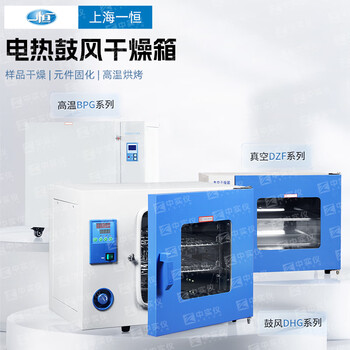 一恒 电热鼓风干燥箱工业烘箱恒温箱烘焙融蜡干燥箱器高温老化试验箱DHG-9023A不锈钢内胆