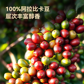 京东京造鲜来多 美式醇厚挂耳咖啡10g*30包手冲0糖黑咖啡阿拉比卡健身减脂