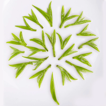 福茗源绿茶 蒙顶甘露 特级明前2026新茶嫩芽春茶高端茶叶礼盒送长辈250g