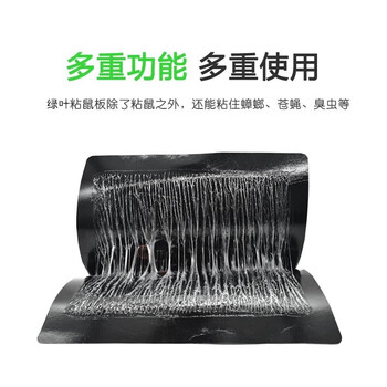 绿叶粘鼠板10片 粘鼠板老鼠贴胶驱捕鼠胶板室内 GL02113