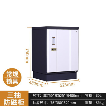 中伟（ZHONGWEI）防磁柜档案光盘防磁柜音像防磁柜小型消磁柜3抽