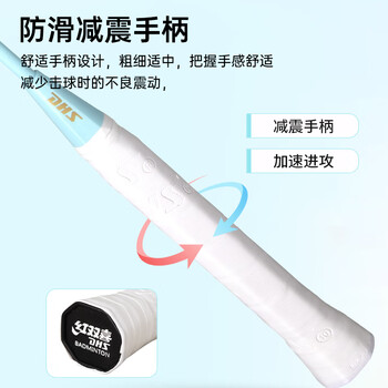红双喜（DHS）羽毛球拍对拍套装(含手胶/球)深凹槽防磨升级训练羽拍   