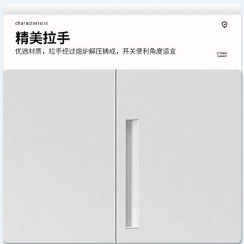 中伟（ZHONGWEI）办公矮柜钢制文件柜带锁储物柜铁皮柜办公室档案柜760mm收纳柜