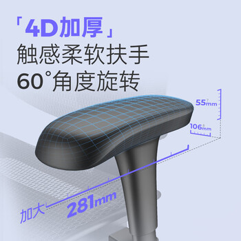 Ergonor保友优b2代 人体工学椅电脑椅办公椅护腰电竞椅 黑色网