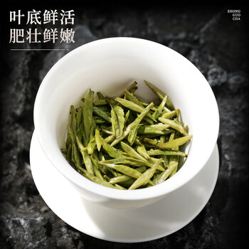 七春特级白毫银针福鼎白茶 商务茶叶礼盒24年180g小罐装毕业季送老师