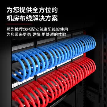 安普康（AMPCOM）超五类网线水晶头通孔穿孔式 RJ45屏蔽50μ纯铜镀金8P8C超5类百兆网线电脑连接头10个 AM179078