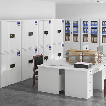 奈高（NAIGAO）保密柜文件柜办公铁皮柜国家保密认证资料档案柜电子指纹锁密码柜