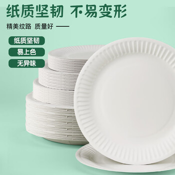 苏拉达（Surada）纸盘 手工diy绘画盘儿童幼儿园多功能纸盘教学材料一次性白色纸碟涂鸦纸盘 7寸10个套装DIY514