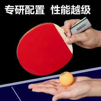 安格耐特 健身训练F2340S 乒乓球拍直拍（1付拍+3球）颜色随机