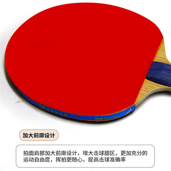 双鱼 五星乒乓球拍直拍全能型专业套胶双面反胶成人 5A+直拍 单拍