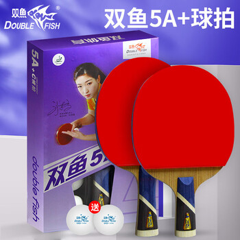 双鱼 五星乒乓球拍直拍全能型专业套胶双面反胶成人 5A+直拍 单拍