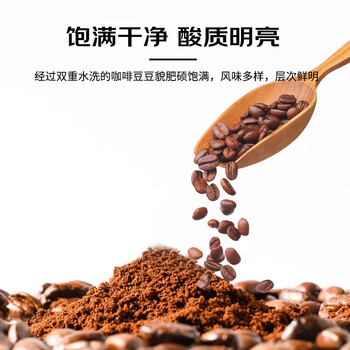 甪家嘴鹿家嘴小番茄肯尼亚AA精品手冲阿拉比卡浅烘精品咖啡豆200g