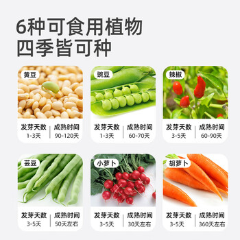 弥鹿（MiDeer）阳光房种植儿童科学小实验套装植物生长观察盒儿童生日开学礼物