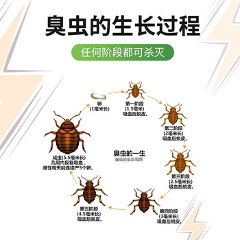 地依猫臭虫药床上吸血虫专用呋虫胺杀虫剂家用宿舍除床虱跳骚喷雾剂