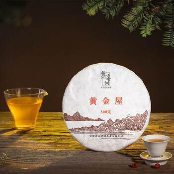 高马二溪段加仑老树300克香湖南安化黑茶正宗特级茶饼三年陈