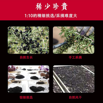 溯珍源 优选头茬大颗粒黑枸杞 罐装150g 黑枸杞15g*10盒
