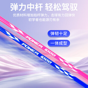 威克多（VICTOR）胜利羽毛球拍升级款娱乐休闲耐打家庭情侣对拍TK-1000/QB