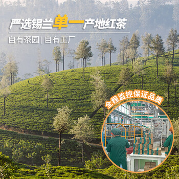 迪尔玛伯爵红茶(调味茶)锡纸包 25袋*2g 独立包装 斯里兰卡进口