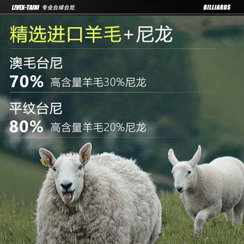 LIVEX台球桌布台尼台布加厚绒澳毛布黑八九尺桌布台布