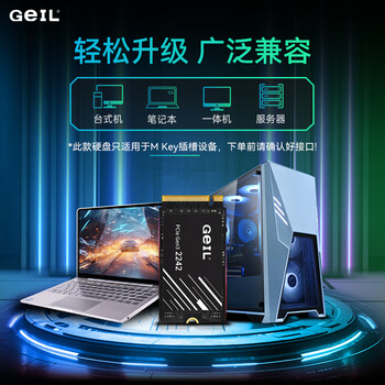 GEIL金邦 512GB SSD固态硬盘M.2接口PCIe 3.0（NVMe协议）2242短板 掌机游戏  P3P系列