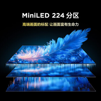 雷鸟（FFALCON）鹤6 25款 65英寸 MiniLED电视 无开机广告 一级能效智能电视机 288Hz 4+64GB  65S595C