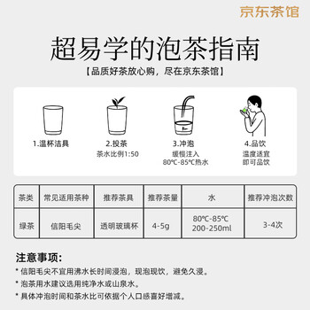 文新绿茶2025新茶高山信阳毛尖一级250g雨前礼盒茶