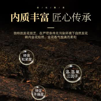 茶马世家安化黑茶正宗特优级手筑金花茯砖10年陈湖南特产非遗茶叶礼盒930g