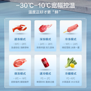 美的203L单温家用冰柜减霜冷藏冷冻柜两用小冰柜一级能效节能冷柜小型冰箱BD/BC-203KMB(E)