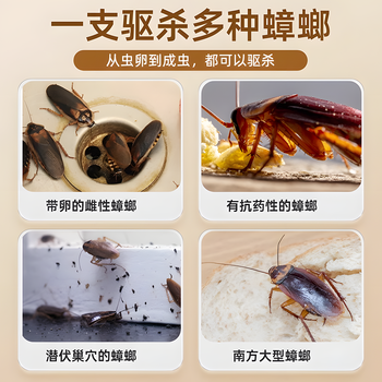 娅洛思蟑螂药一窝端杀虫剂杀蟑胶饵家用厨房室内除蟑螂饵剂全窝端