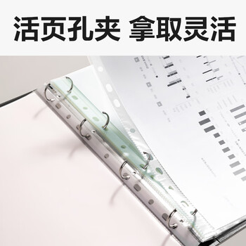 得力（deli）A4金属文件夹孔夹 可放11孔活页袋试卷夹办公资料档案票据夹办公 办公学习用品单只装黑色 PE110-T