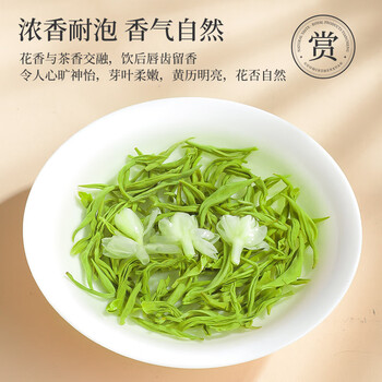 茶半春茉莉花茶 川派茉莉飘雪浓香型茉莉绿茶新茶罐装茶叶100g