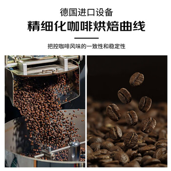 甪家嘴鹿家嘴小番茄肯尼亚AA精品手冲阿拉比卡浅烘精品咖啡豆200g