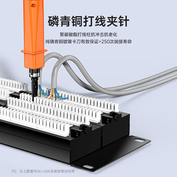 SK-LINK 六类48口网络配线架 CAT6类19英寸机架式1U非屏蔽机柜工程级镀金理线架网线梳理器 SK-P6-48 SK-LINK 六类48口网络配线架 CAT6类19英寸机架式1U非屏蔽机柜工程级镀金理线架网线梳理器 SK-P6-48